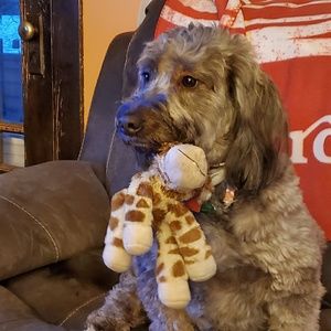 Meet your Posher, Barbara